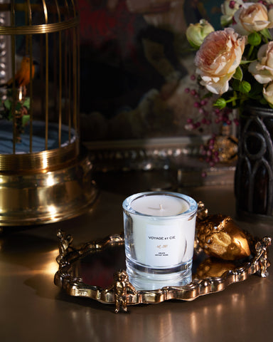 Parcs des Paris Ceramic Candle